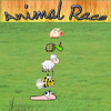 Animal Race