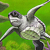 Big turtle in the green sea puzzle