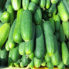 Cucumbers Slider