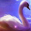 Dream swan in the lake sl…