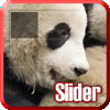 Panda Slider Puzzle