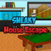 Sneaky House Escape